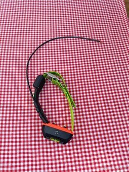 Gps Obojek Garmin