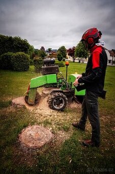 Frézování pařezů – odborná likvidace pařezů pařezovou frézou