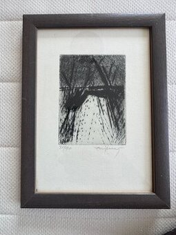 Emanuel Ranný lept 30/90