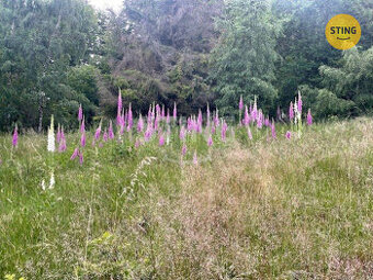 Trvale travní plocha se stavebním pozemkem uprostřed, 128222