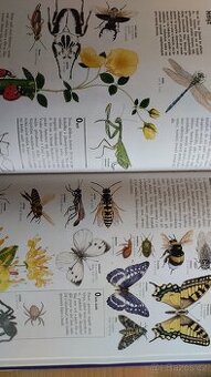 Velká obrazová dětská encyklopedie