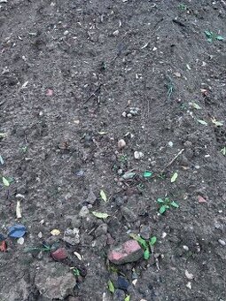 Zemina - hlína za odvoz zdarma Hradec Králové