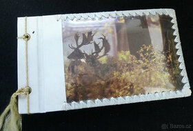 Staré abum na fotografie