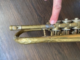 Trumpeta křídlovka