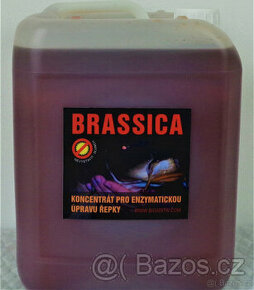 Enzymatická úprava partiklu - Brassica