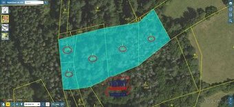Soubor lesních pozemků nedaleko obce Věžná, ev.č. VŠ-7642