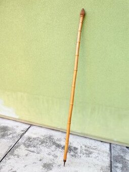 Turistická hůl - 1