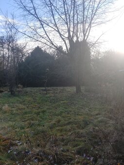 Velká zahrada u Malého Jezu - 1