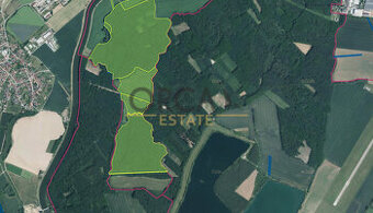 prodej singulárních lesů, příslušná výměra 58 008 m2 - 1