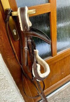 Uzdečka včetně otěží