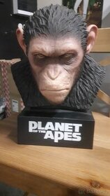 Busta Caesara z filmu Planet of the Apes.