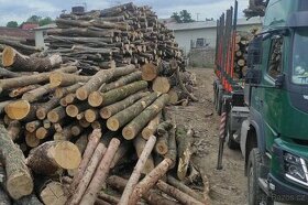 AKCE DO VYPRODÁNÍ ZÁSOB - Palivové dřevo - rovnané - tvrdé 1