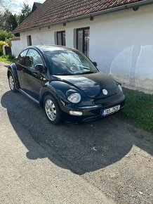 New beetle - 1
