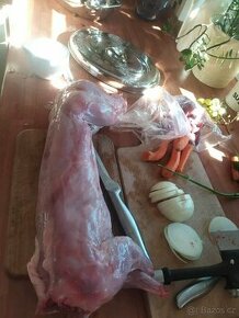Králíci - maso v kuchyňské úpravě