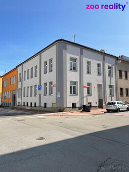 Pronájem bytu 1kk, 41 m2, Skuherského ul., České Budějovice