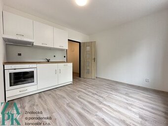 Pronájem bytu 1+1 38 m², Ústí nad Labem - Střekov