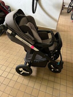 Baby design husky 2016