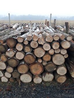 Palivové dřevo tvrdé