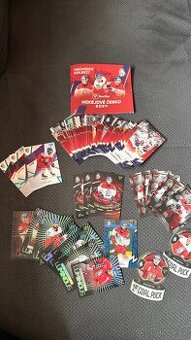 Hokejové Česko 2024