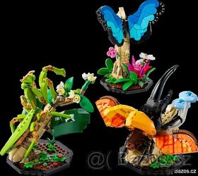 LEGO 21342 Sbírka hmyzu