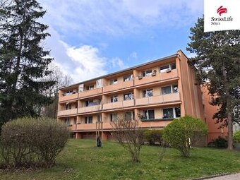 Pronájem bytu 1+kk 29 m2 Slovenská, Teplice