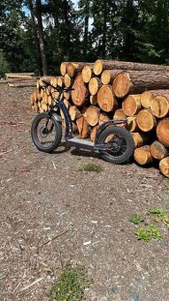 Hugo Bike Big One X