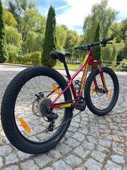 Specialized riprock 24
