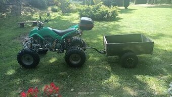 Bashan 250
