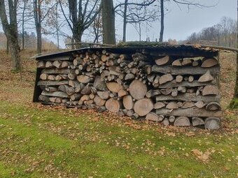 Suché palivove dřevo 7,5 kubiku