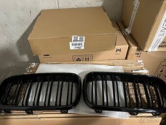 Ledvinky, maska, BMW X6