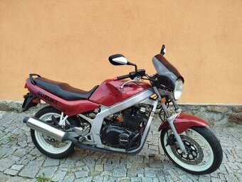 Suzuki GS500e