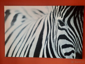 Obraz Zebra Ikea