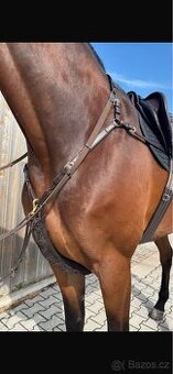 Poprsnik kentaur hnedy Mons