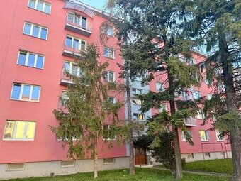 Prodej bytu 1+1 Svisle, Přerov