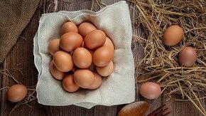 perličky násadová vejce