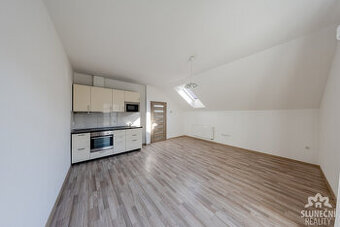 Pronájem bytu 1+1 42 m² s možností parkovacího místa, ulice 