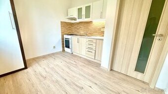 Pronájem, byt, 1+1, 33 m², Březinova, Jihlava