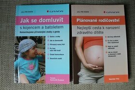 Jak se domluvit s kojencem a batoletem, Plánované rodičovstv
