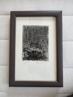 Emanuel Ranný lept 20/50