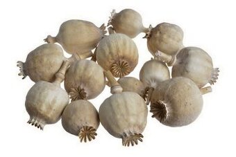 Makovice malé 500ks