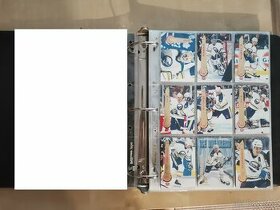 HOKEJOVÉ karty TOP STAV část 1