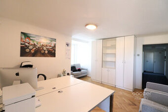 Pronájem reprezentativní kanceláře, 27m2, Praha 6 - Bubeneč,