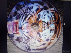 DVD filmy