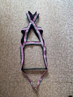 weight pull postroj