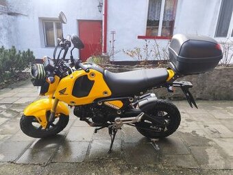 Honda msx 125 grom