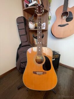 Elektroakustická kytara Nashville