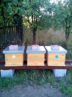 Vyzimovaná včelstva