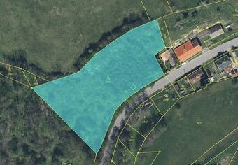 Prodej, pozemek, 5 404 m, , Javornice, Česko