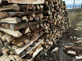 Tvrdé bukové dřevo