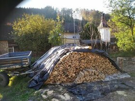 Tvrdé a měkké palivové dřevo m3 rovnaný , bukové nebo smrk
